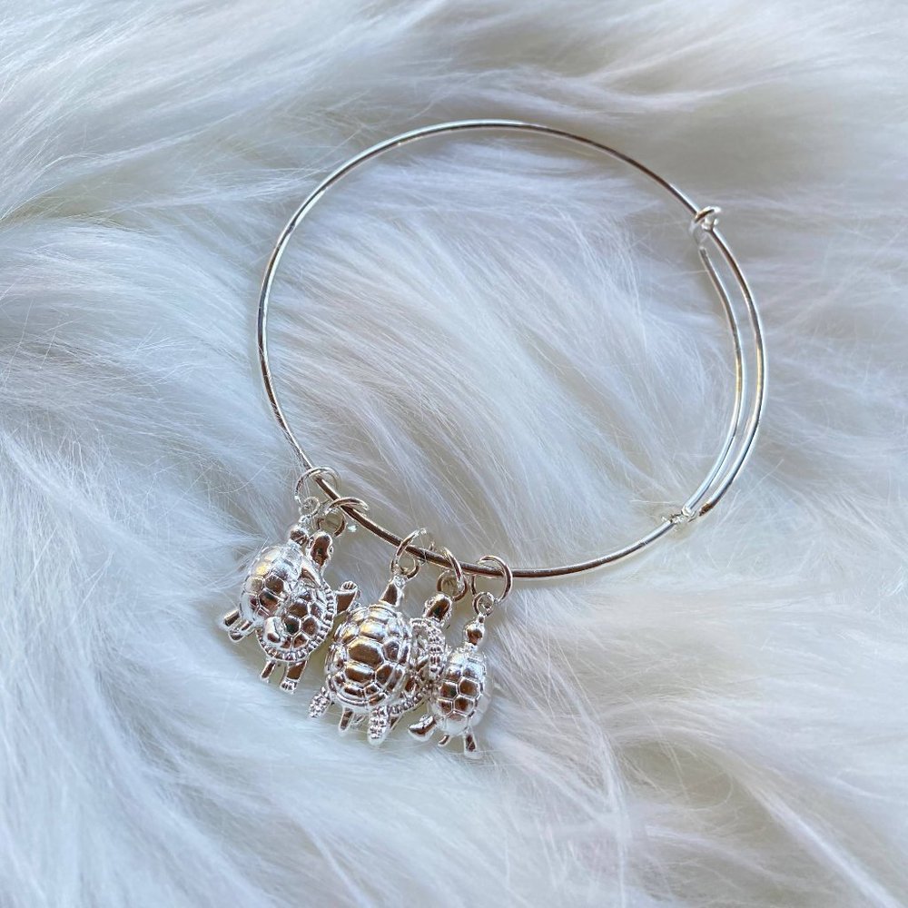 Silver Turtle Charm Bracelet